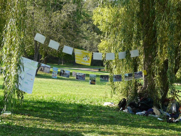 020 2008 Calypso   naborovy den Stromovka II